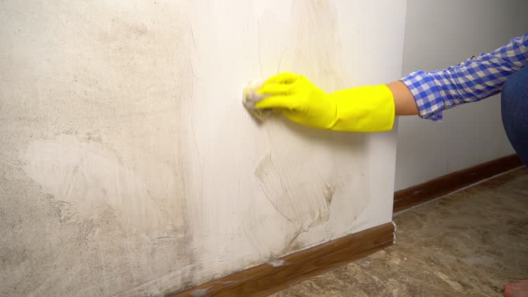 Best Residential Mold Inspection & Testing  in Kalkaska, MI