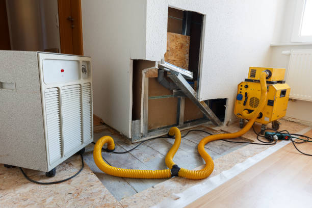 Best HVAC Mold Inspection and Cleaning  in Kalkaska, MI